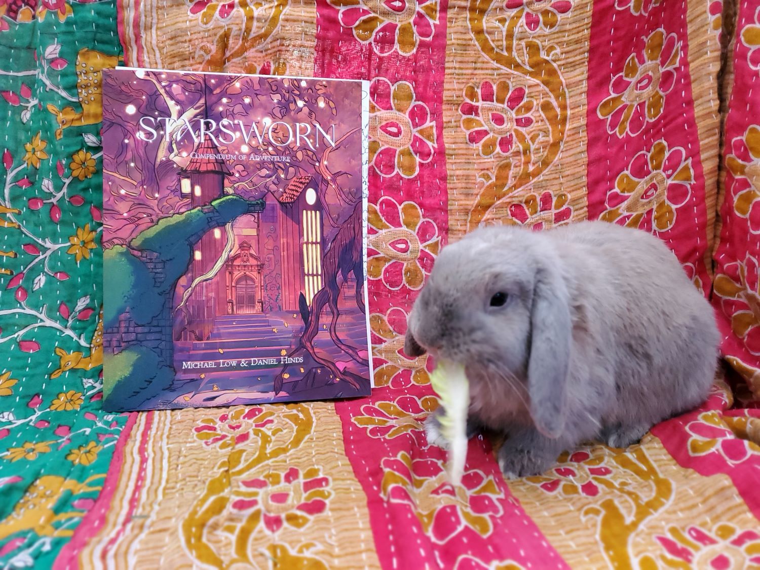 Los Angeles Rabbits Adoption Application