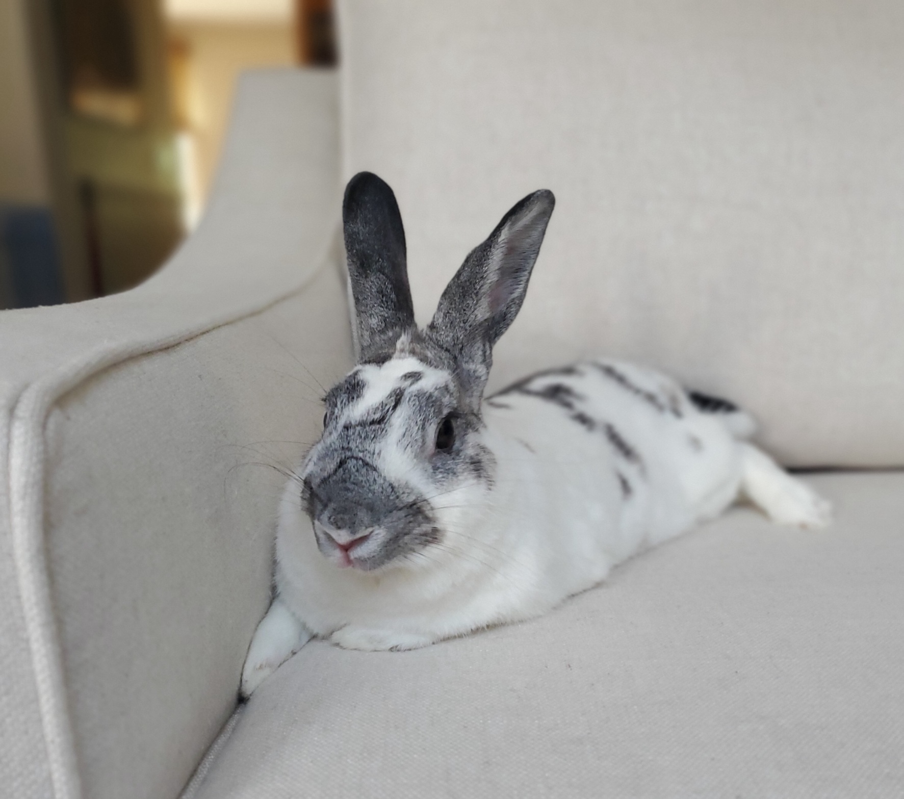 Marble