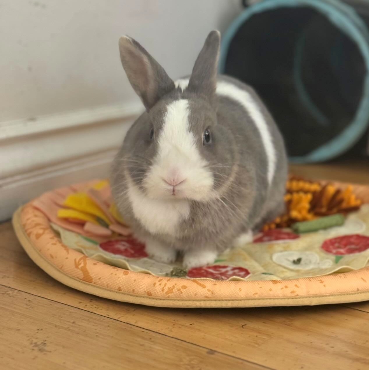 Suki